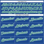 Maglia da baseball Kelly verde-bianca personalizzata autentica Royal Maglia da baseball Kelly verde-bianca personalizzata autentica Royal